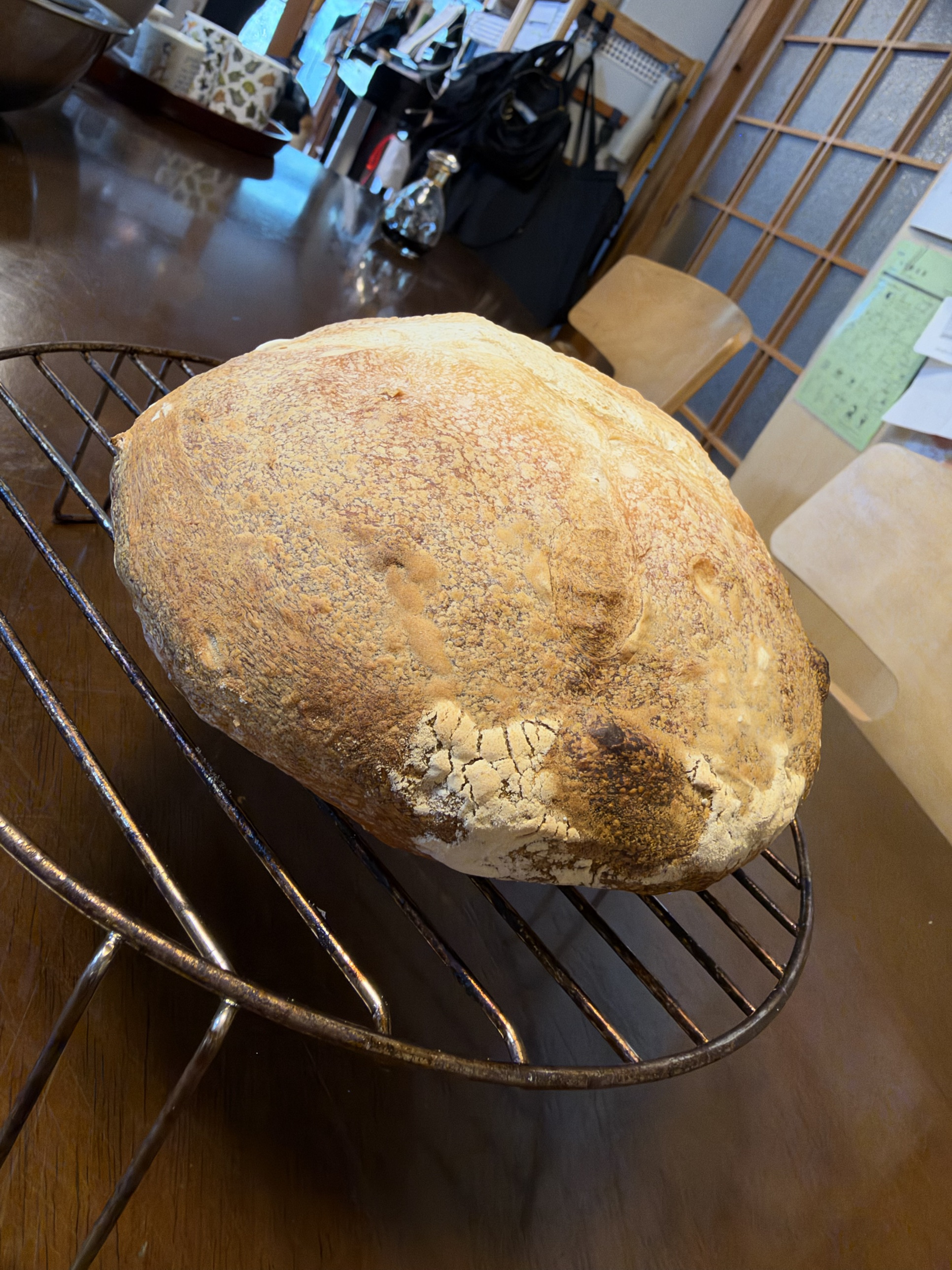 水切りカゴ組の綺麗な楕円
