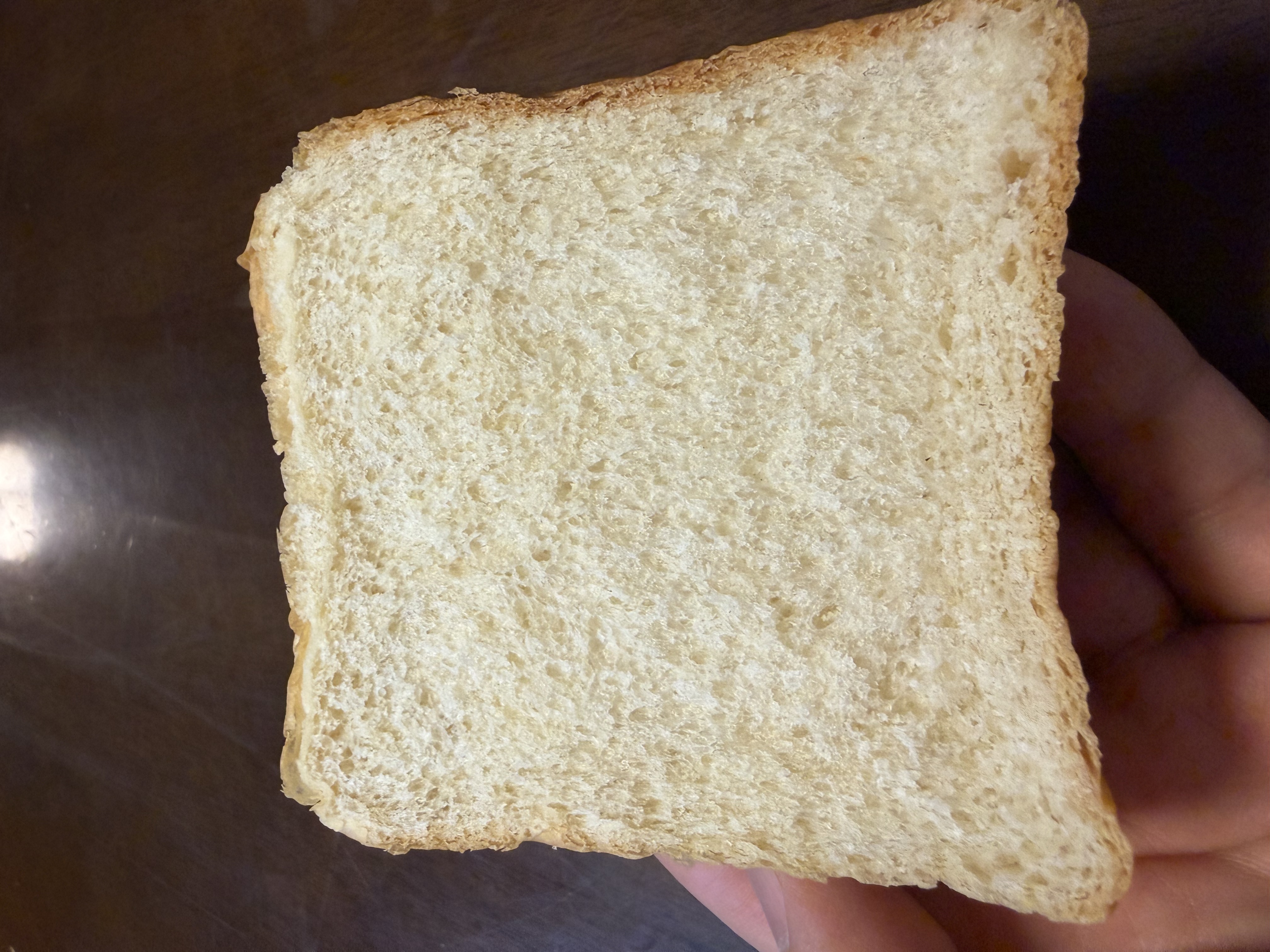 食パン断面 4回目